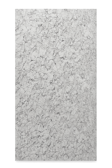 Graphite Grey Gloss Size: 1000×2400 mm
Thickness: 10mm