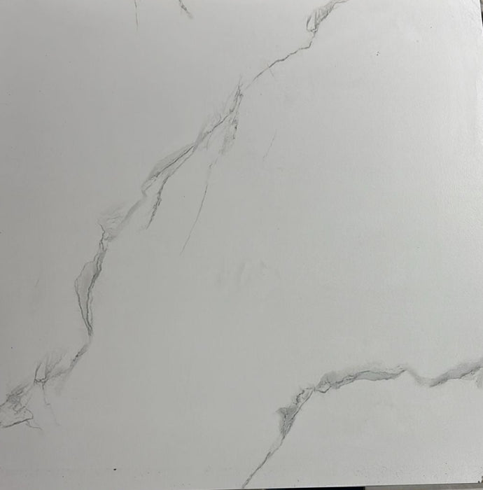 Phonix Mate 60x60 Wall & Floor Tile