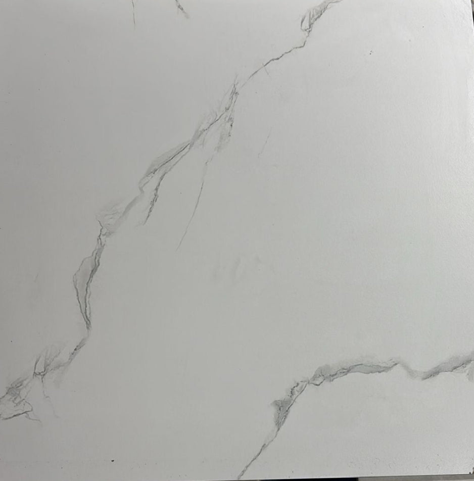 Phonix Mate 60x60 Wall & Floor Tile