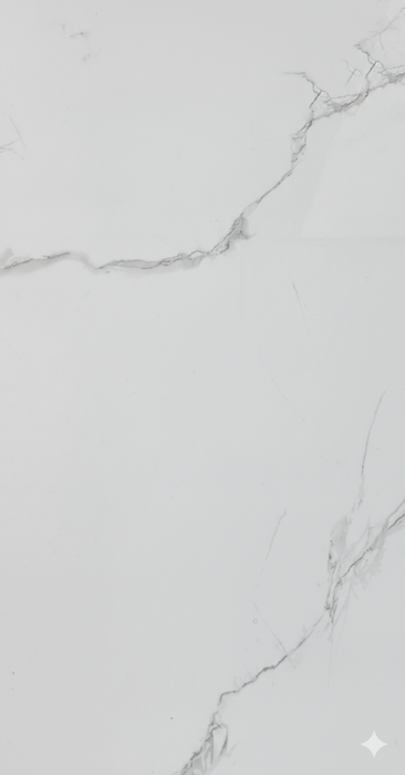 Phonix Glossy 60cmx120cm Wall & Floor Tile