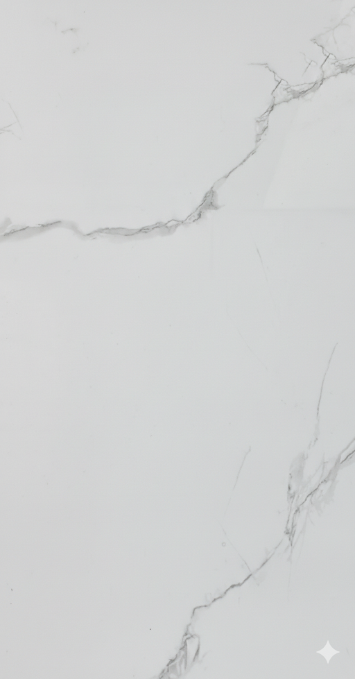 Phonix Glossy 60cmx120cm Wall & Floor Tile