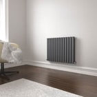 Princia Horizontal 600x1620mm Oval Panel Double Anthracite