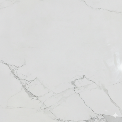 Phoenix Glossy 60cmx60cm Wall & Floor Tile