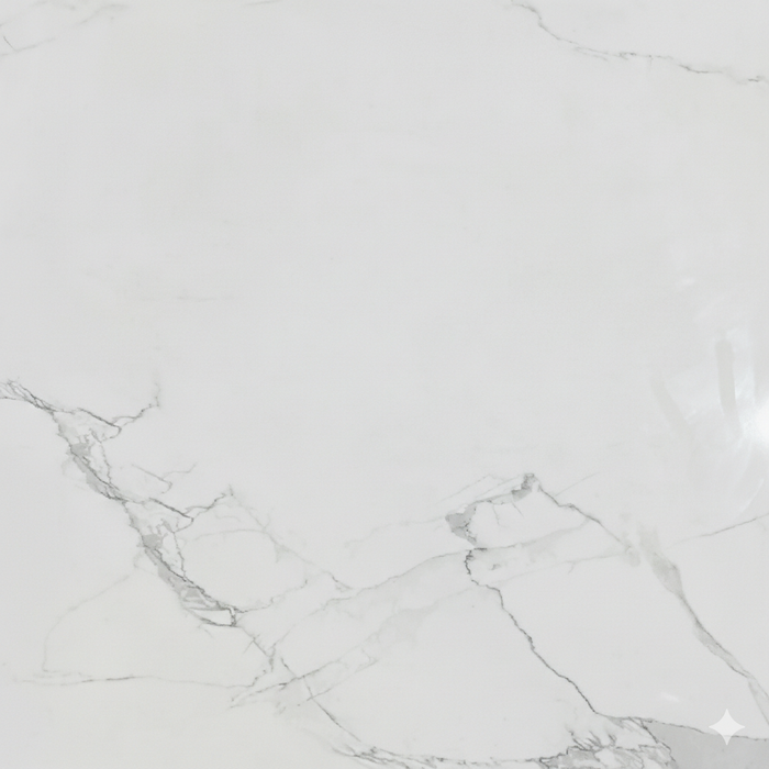 Phoenix Glossy 60cmx60cm Wall & Floor Tile